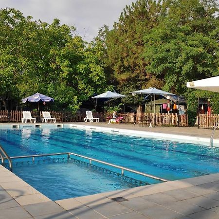 Camping Mitikas And Bungalows Πλάκα Λιτόχωρου Εξωτερικό φωτογραφία