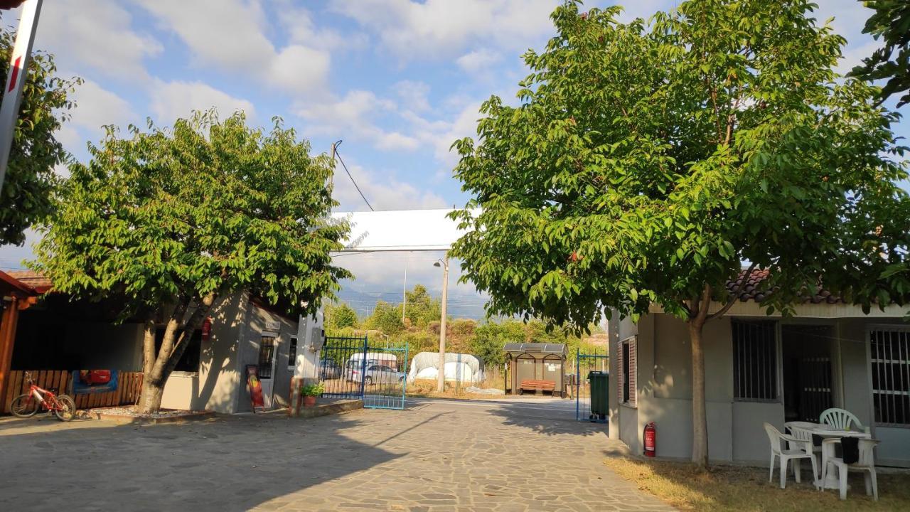 Camping Mitikas And Bungalows Πλάκα Λιτόχωρου Εξωτερικό φωτογραφία