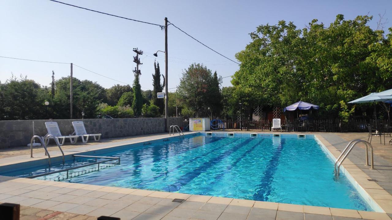 Camping Mitikas And Bungalows Πλάκα Λιτόχωρου Εξωτερικό φωτογραφία