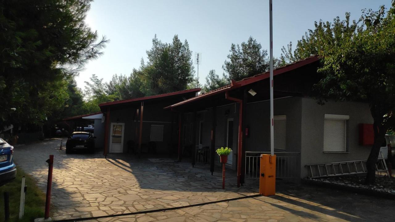 Camping Mitikas And Bungalows Πλάκα Λιτόχωρου Εξωτερικό φωτογραφία