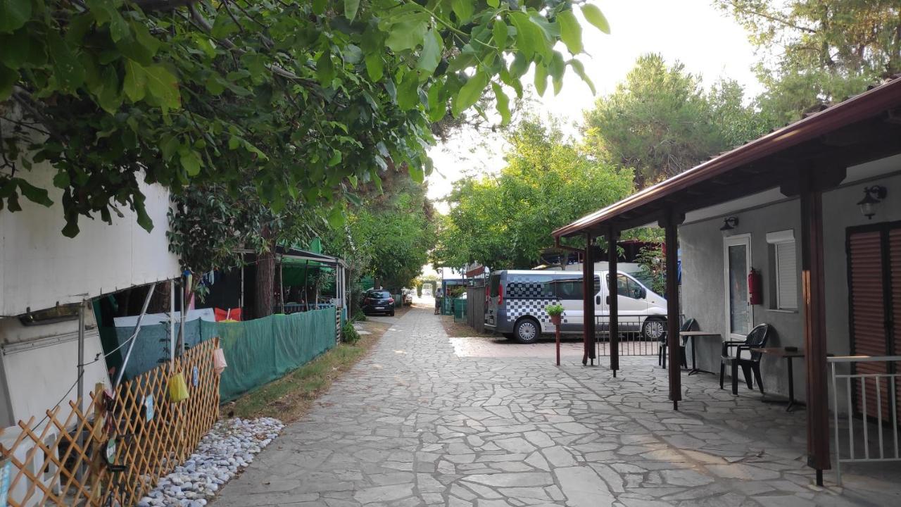 Camping Mitikas And Bungalows Πλάκα Λιτόχωρου Εξωτερικό φωτογραφία