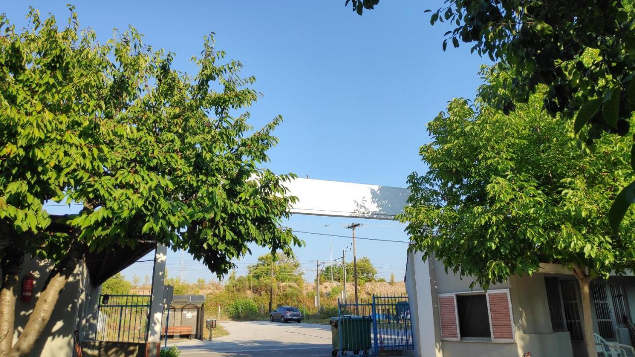 Camping Mitikas And Bungalows Πλάκα Λιτόχωρου Εξωτερικό φωτογραφία